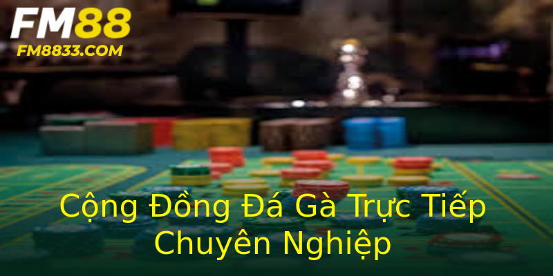 Cộng Đồng Đá Gà Trực Tiếp Chuyên Nghiệp Cộng Đồng Đá Gà Trực Tiếp Chuyên Nghiệp