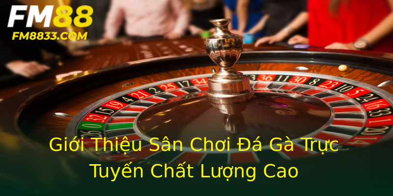 Giới Thiệu Sân Chơi Đá Gà Trực Tuyến Chất Lượng Cao