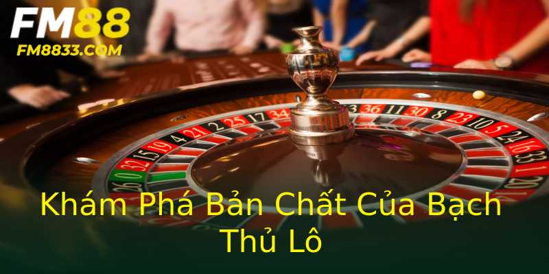 Khám Phá Bản Chất Của Bạch Thủ Lô