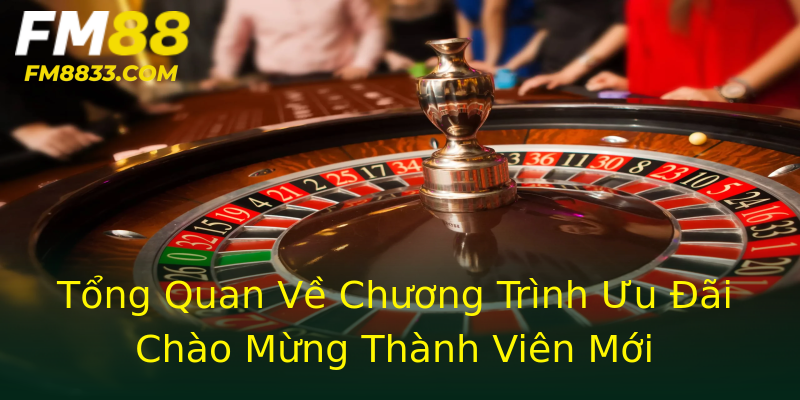 Tổng Quan Về Chương Trình Ưu Đãi Chào Mừng Thành Viên Mới