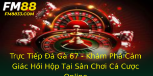 Truc Tiep A Ga 67 Kham Pha Cam Giac Hoi Hop Tai San Choi Ca Cuoc Online